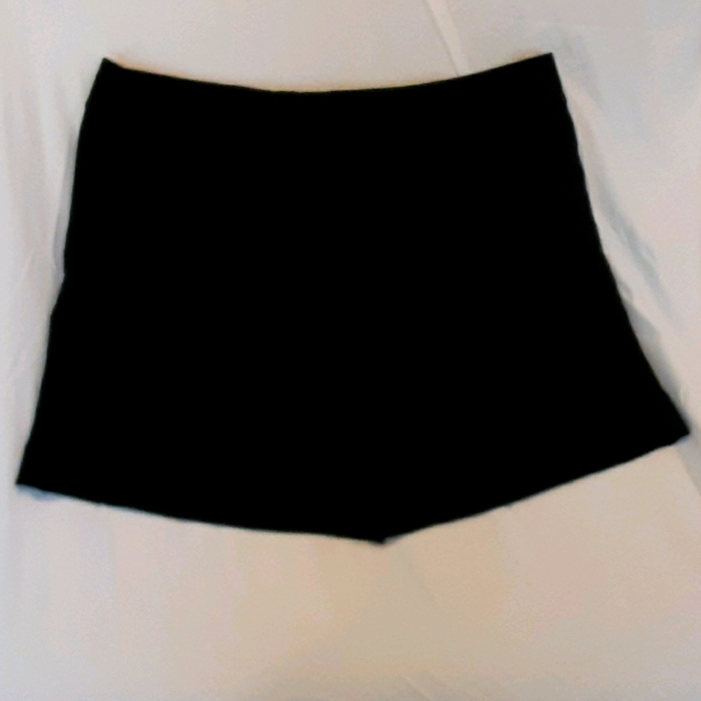 The loft Shorts/skirt